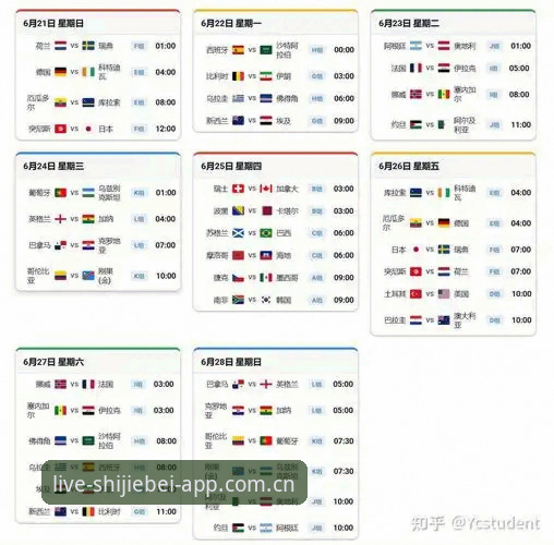 2026世界杯观赛签证困境完整指南：从约旦球迷困境看赛事出行准备